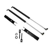 Acouto 2 Pcs Sostituzione dell'asta del Montante della Molla a Gas a Gas Cappa per Cappa per l'utilità di Base 4 Porta 2010-2019 Hood Struthood Support -Springgas Springhood Springhood Shock