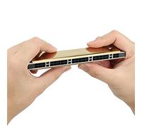 Acouto Armonica a Bocca Professionale Regali per Principianti Piastra di Base in Ottone da 2 Mm Polifonica a 24 Fori Posizioni Sul Boccaglio ProfessionaleHarmonicaBeginner (G#)