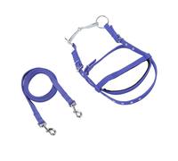 Acouto Briglia per Cavallo Rein Nylon Elegante Briglia per Cavallo Headstall Red L e Il Che Sei in Nylon Le Redini del Materiale Sono (Taglia Piccola)