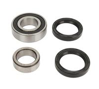 Acouto Kit Cuscinetto Assale Posteriore 1013794 per Ds e Carrello Elettrico Precedente 1986-2014, Kit Cuscinetto Differenziale Posteriore Numero OE Ds AlKit Olio Boccola Assale