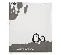 Acouto Modello di Mappa del Mondo Tappetino da Gioco per Bambini Morbido Tappetino per Gattonare per Bambini Decorazione per la Casa Mappa del Mondo in Viaggio per l'occasione di Trasporto da