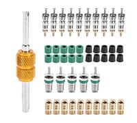 Acouto Nuclei della Valvola Schrader 46 pz/Set - Strumento di Smontaggio e Installazione per Aria Condizionata R410/R22/R134a