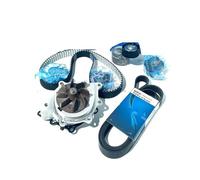 Acqua Pompa Per Freelander 2 2.2 Diesel Cinghia Distribuzione Acqua Ventola Tenditore Puleggia Per Land Per Rover LR2 L359 LR032526/LR011694/LR003651