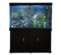Acquario 300 Litri con Armadietto Nero e Kit con Fondale, Piante e Ghiaia Nera