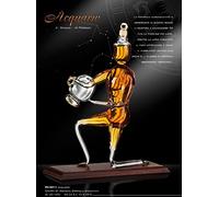 ACQUARIO BONOLLO: VETRO MODERNO, TRASPARENTE, PER TARTARUGHE, VIVARIO