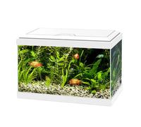 Acquario Ciano Aqua Light 20 Askoll - Bianco - 40 x 20 x 31,3 - 1° ORDINE? scegli lo sconto BZR5 / BZR20 + 200 punti fedeltà bianco