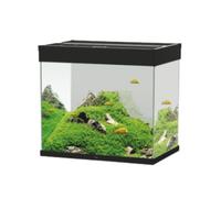 Acquario Ciano Emotions Nature Pro 60 Askoll - nero - 61,2 x 40,2 x h 56 - 1° ORDINE? scegli lo sconto BZR5 / BZR20 + 200 punti fedeltà bianco