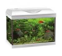 Acquario completo Amtra Basic LED 40 bianco 25 Lt 42,5 × 23,5 × 33 cm h