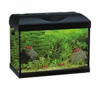Acquario completo Amtra Basic LED 80 nero 85 Lt 80 × 30 × 47 cm h