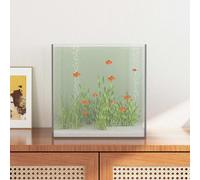 Acquario con archiviazione Trasparente 30 x 30 x 30 cm Vetro