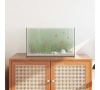 Acquario con archiviazione Trasparente 50 x 30 x 30 cm Vetro
