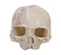 Acquario Cranio Ornamenti Resina Testa artificiale Decorazione scheletro Serbatoio di pesce Decorativo Nascondere Grotta Paesaggio Terrario Ornamenti per rettili