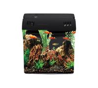 Acquario Da Scrivania Gamberetti Tartarughe Barriera Corallo Arredo Casa