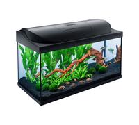 Acquario in Vetro StarterLine 105 Litri Completo Luce e Filtro e Riscaldatore