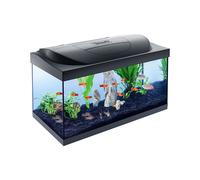 Tetra Set Completo Acquario Starter Line 54 L con Illuminazione Giorno/Notte a LED