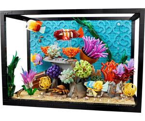 Acquario tropicale