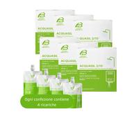 ACQUASIL 2/15 PC100 Ricariche MiniDOS Anticalcare ( 1 pezzo uguale a 4 x 250 GR)