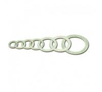 AcquaStiLLa 109194 Guarnizioni per Bocchettoni Ghisa, Multicolore, Set di 100 Pezzi