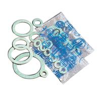 Acquastilla 109751 Guarnizioni Esenti Amianto, Multicolore, Set di 500 Pezzi