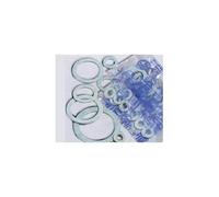 Acquastilla 109759 Guarnizioni per Bocchettoni Ghisa, Multicolore, Set di 100 Pezzi