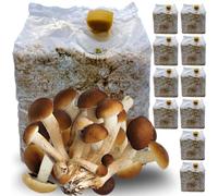 acquaverde | 10 Kit Coltivazione Funghi Pioppini, Agrocybe aegerita, Micelio selezionato di Prima Scelta, Facile Coltivazione, Ballette da 3 Kg