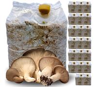 acquaverde | 20 Kit Coltivazione Funghi Cardoncelli, Pleutorus Eryngii, Fungo della Murgia Pugliese, Micelio selezionato di Prima Scelta, Ballette da 3 Kg