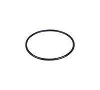 acquaverde Guarnizione 11232 O-Ring, Anello di Ricambio per Pompa Filtro a Sabbia Intex, Compatibile con Modelli 26646, 26648, 26652