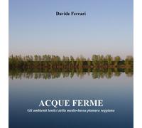 Acque ferme di Davide Ferrari, 2019, Youcanprint