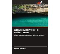Acque superficiali e sotterranee: Sfide e soluzioni nella gestione delle risorse idriche