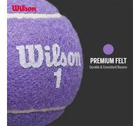Acquista 1 ottieni 6 (=12 palline) Wilson INTRIGUE palla da tennis viola EDIZ...