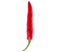 ACRATA EL VIAGRA-NATURAL, 100 SEMI del PEPERONCINO PIU' BUONO e AFRO-DISIACO DEL MONDO + Guida Coltivazione