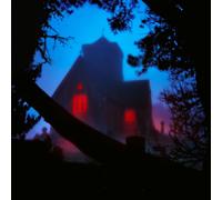 The Host ( vinyl )