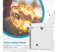 Acrilico Display Porta 4 Pcs Trasparente Cavalletto Misura per Corallo Geodi