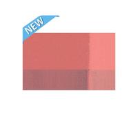 Acrilico Flacone 500 Ml Serie 1 209-Rosa Di Venezia Chiaro