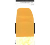 Golden Acrylic Paint : 119ml (4oz) Bottle Fluid Gold Fine Iridescent