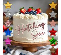 Acrilico Torta Fascino Festa di Compleanno Schiusa Presto Misure 10.2cm 12.7cm