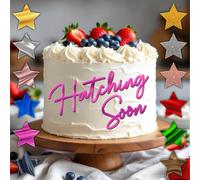 Acrilico Torta Fascino Festa di Compleanno Schiusa Presto Misure 10.2cm 12.7cm