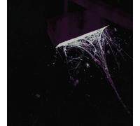 across the park b/w sevens--Import USA