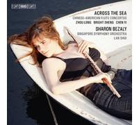 Across the Sea: Chinese-America