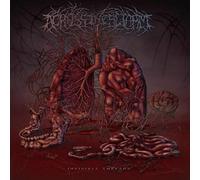 Across the Swarm - Invisible Threads