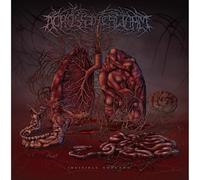 Across The Swarm - Invisible Threads