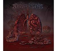 Across the Swarm Invisible Threads (CD) Album Digipak