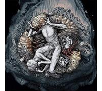 Across The Swarm - Projections