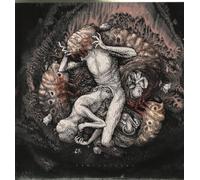 Across The Swarm - Projections