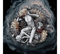 Across the Swarm Projections (Vinyl LP) 12" Album