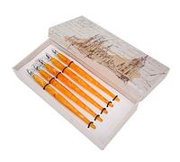 Acrylic Pens for Comic Drawing | Round Nib Art Pens Set of 5 | Smooth Writing/Drop - Proof/Choice for Artists | 6.3in, White & Orange (Arancia)