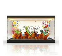 Acrylic Showcase for (10329 Mini Bonsai) Model - Showcase Display Box Compatibile con Lego 10329 (Only Showcase, Without Model) (Tricolor lightbox B)