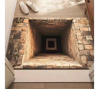 acsewater Zerbino per porta d'ingresso interna ed esterna, tappeto 3D divertente con effetto ottico, zerbino personalizzato creativo, tappeto con effetto crepa nel pavimento