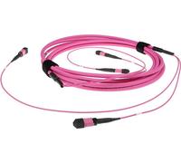 ACT 50 metri Multimodali 50/125 OM4 (OM3) Cavo di trunk in fibra B con connettori femminili da 2 MTP/MPO ciascun lato 50m 2x MT NEW