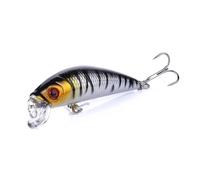 ACTINPANT 1 Esca 7 cm-8,1 g, Galleggiante, a Lancio Lungo, Galleggiante, for la Pesca in Mare, Esca Finta for torrenti(1)